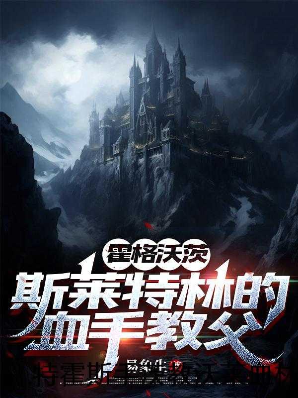 双胞胎系统