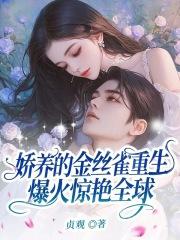 双翼战斗机