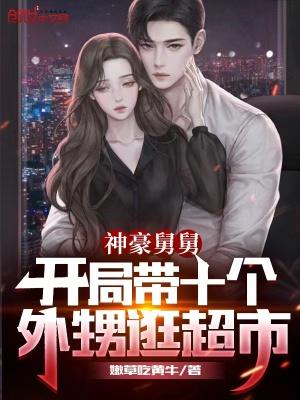 双翼机的优点与缺点