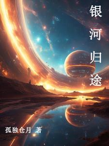 流浪的北极星 书包网