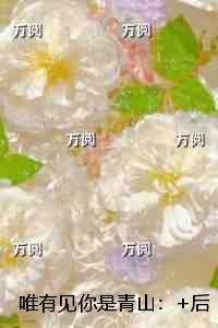 让我上百城辞全文免费阅读