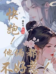 一把菜刀闯江湖免费完整版