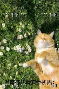 四合院之赤脚医生 第1章