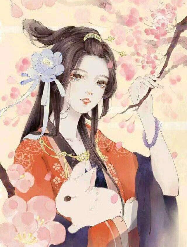 宦场沉浮之美人泪